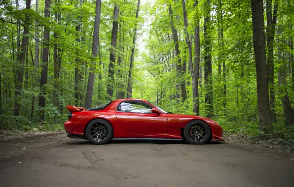 Картинка дорога, лес, красный, спорткар, Mazda RX-7
