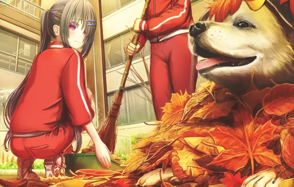 Картинка осень, листья, девочки, собака, аниме