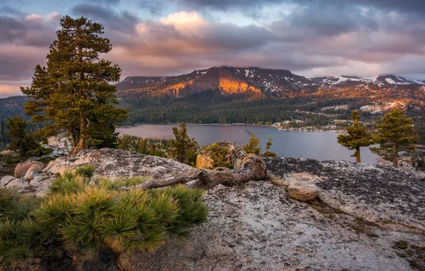 Картинка деревья, горы, озеро, Калифорния, сосны, California, Сьерра-Невада, Sierra Nevada, Silver Lake, Eldorado National Forest, Серебряное …