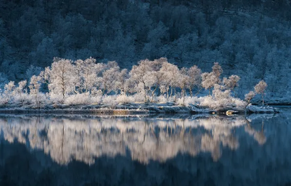 Картинка иней, вода, деревья, отражение, Норвегия, Norway, Troms, Тромс, Квефьорд, Kvæfjord kommune, Storjord