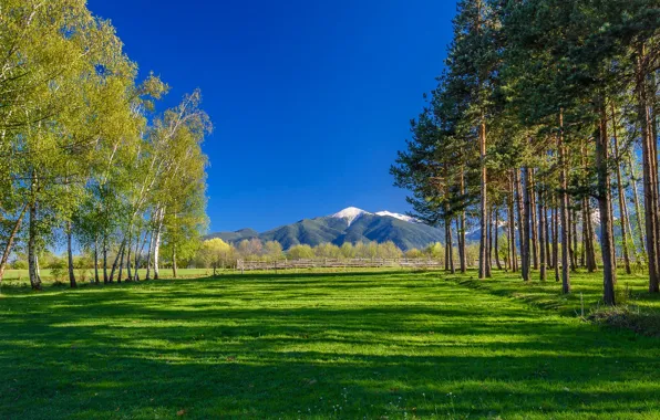Картинка трава, деревья, горы, Болгария