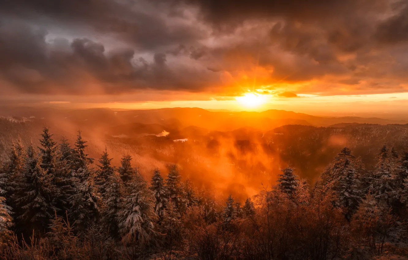 Фото обои солнце, снег, пейзаж, горы, природа, туман, рассвет, ель, Германия, sunshine, landscape, nature, mountains, snow, sun, …