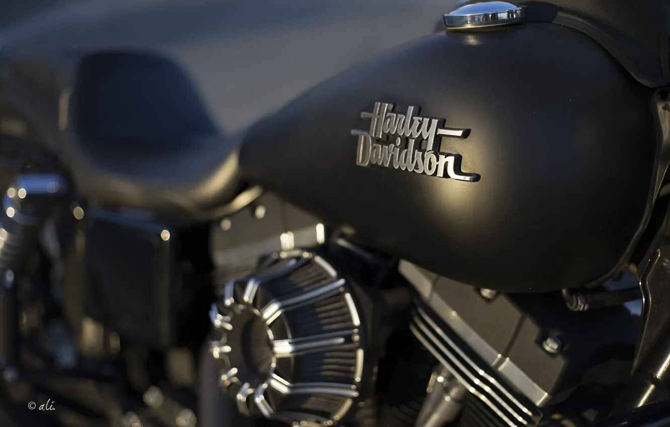 Фото обои фон, мотоцикл, Harley Davidson