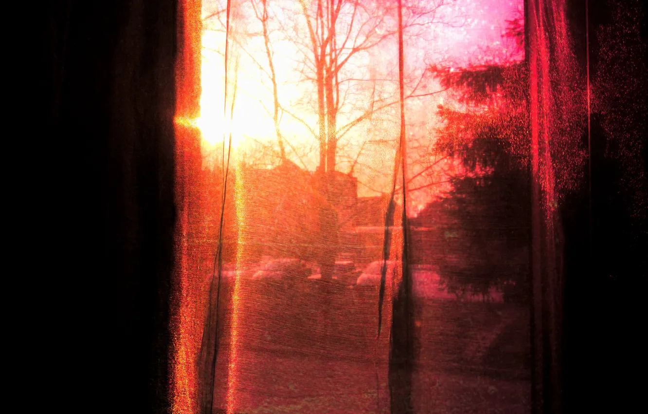 Фото обои небо, солнце, деревья, счастье, закат, настроение, розовый, весна
