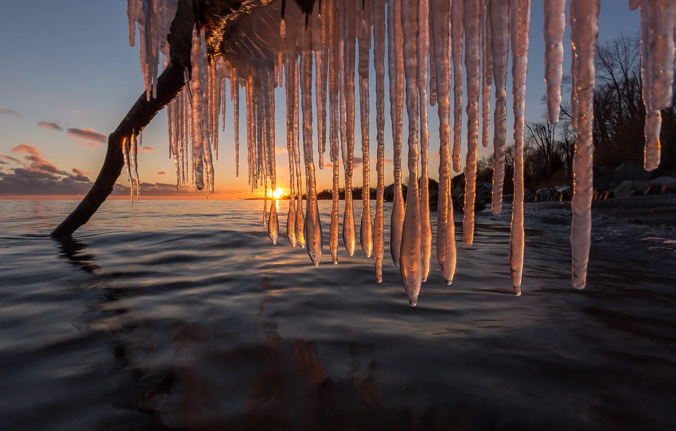 Фото обои зима, закат, озеро, сосульки, Канада, коряга, Canada, Lake Ontario, озеро Онтарио