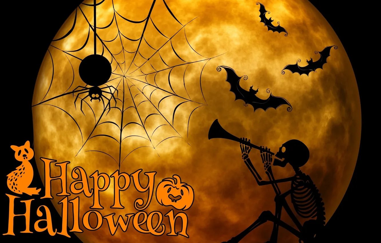 Фото обои ночь, праздник, луна, паук, скелет, Хеллоуин, летучие мыши