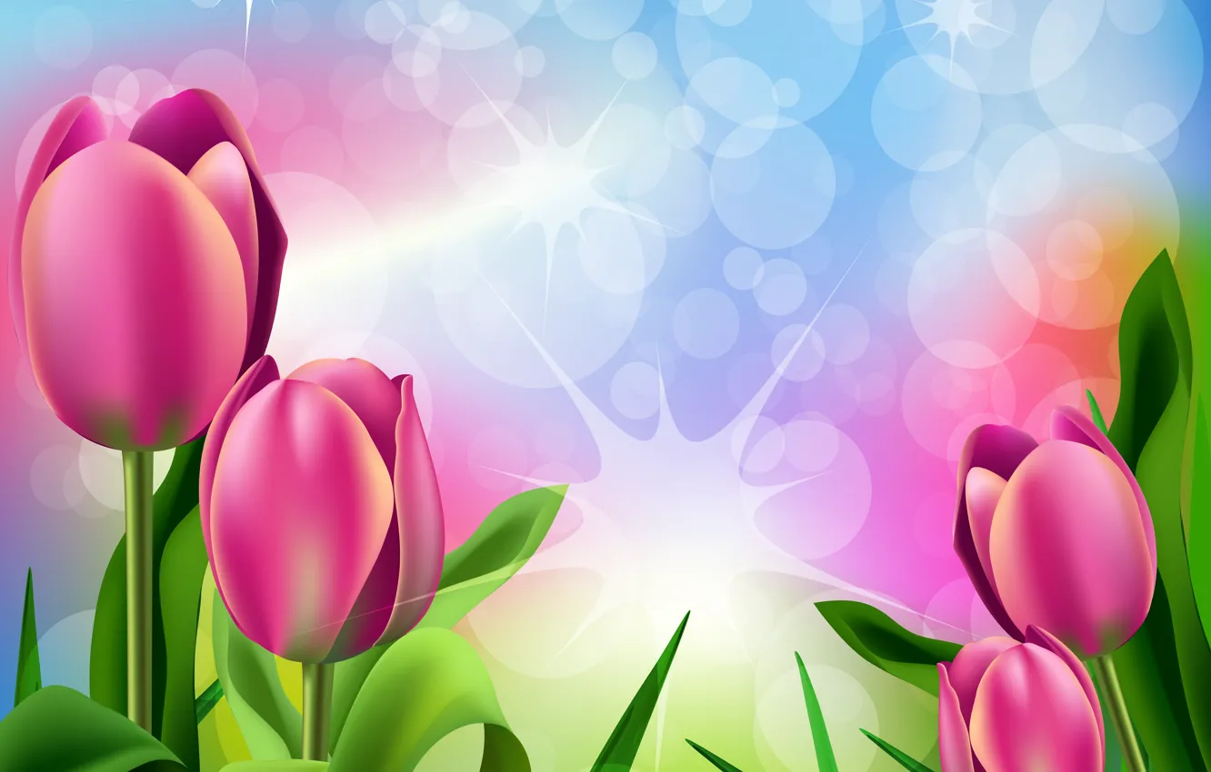 Тюльпаны Фото Цветов