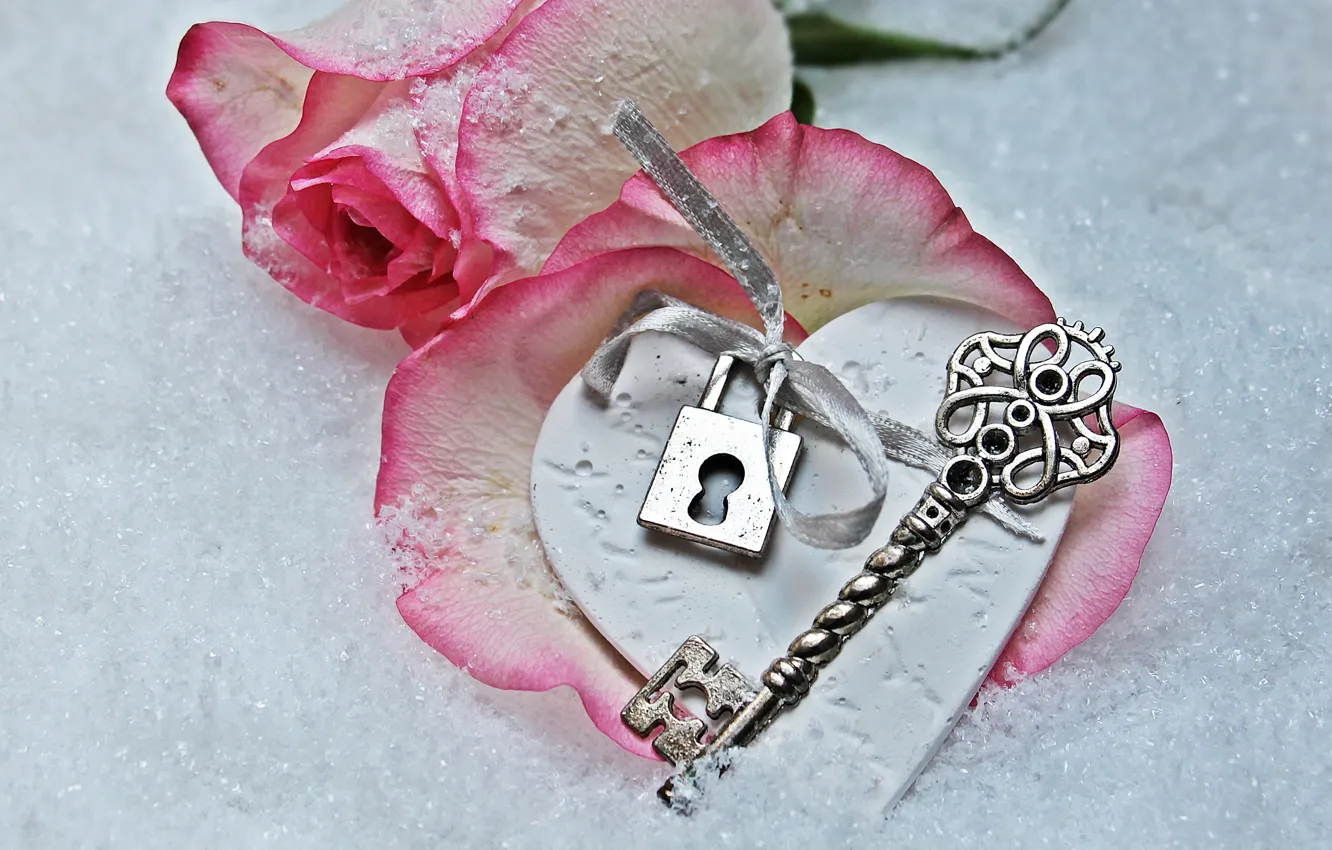 Фото обои love, rose, heart, winter, snow, key, romantic, petals, lock. 