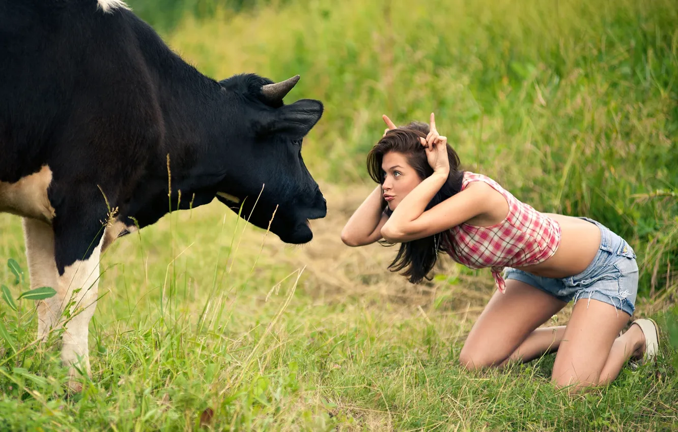 Фото обои девушка, корова, луг, дурачество