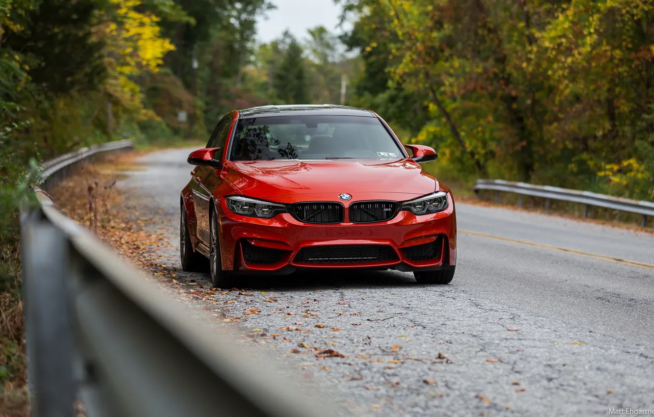 Фото обои BMW, Autumn, Road, RED, Forest, F80