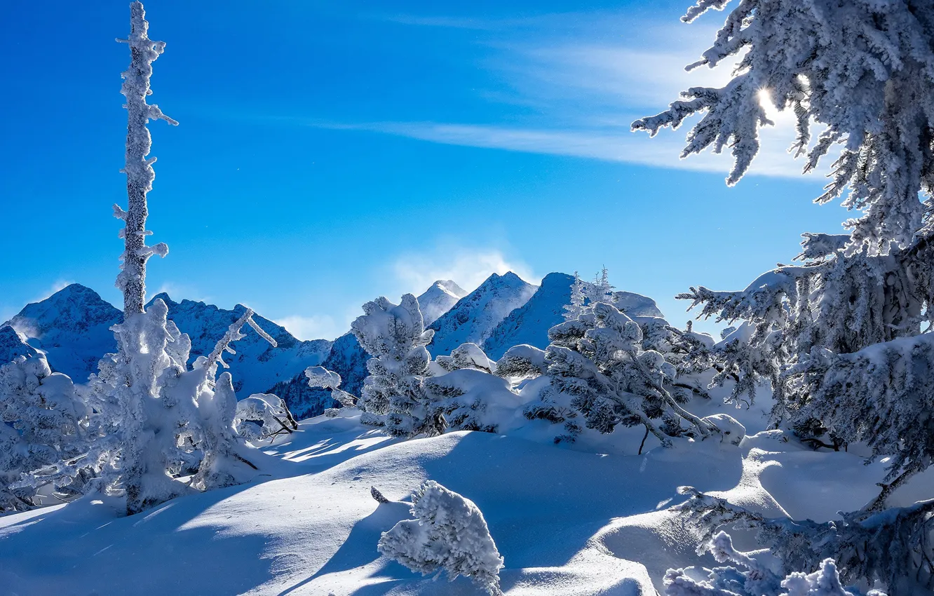 Фото обои зима, снег, деревья, горы, Австрия, Альпы, сугробы, Austria, Alps, Штирия, Styria