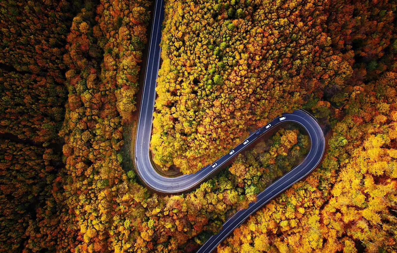 Фото обои дорога, машина, осень, лес, природа, вид сверху, дервья