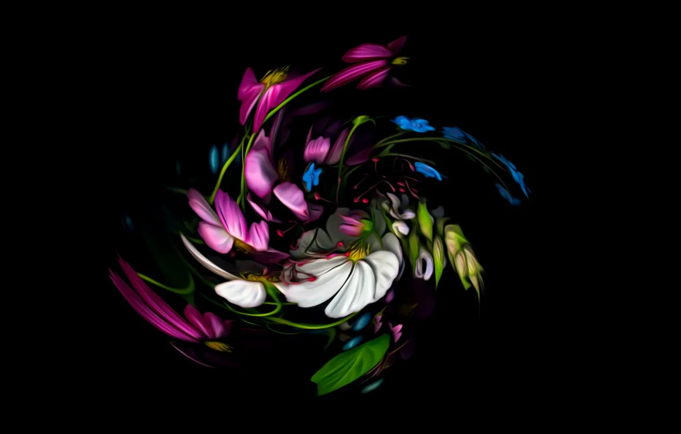 Фото обои абстракция, фантазия, черный фон, картинка, цветочная спираль