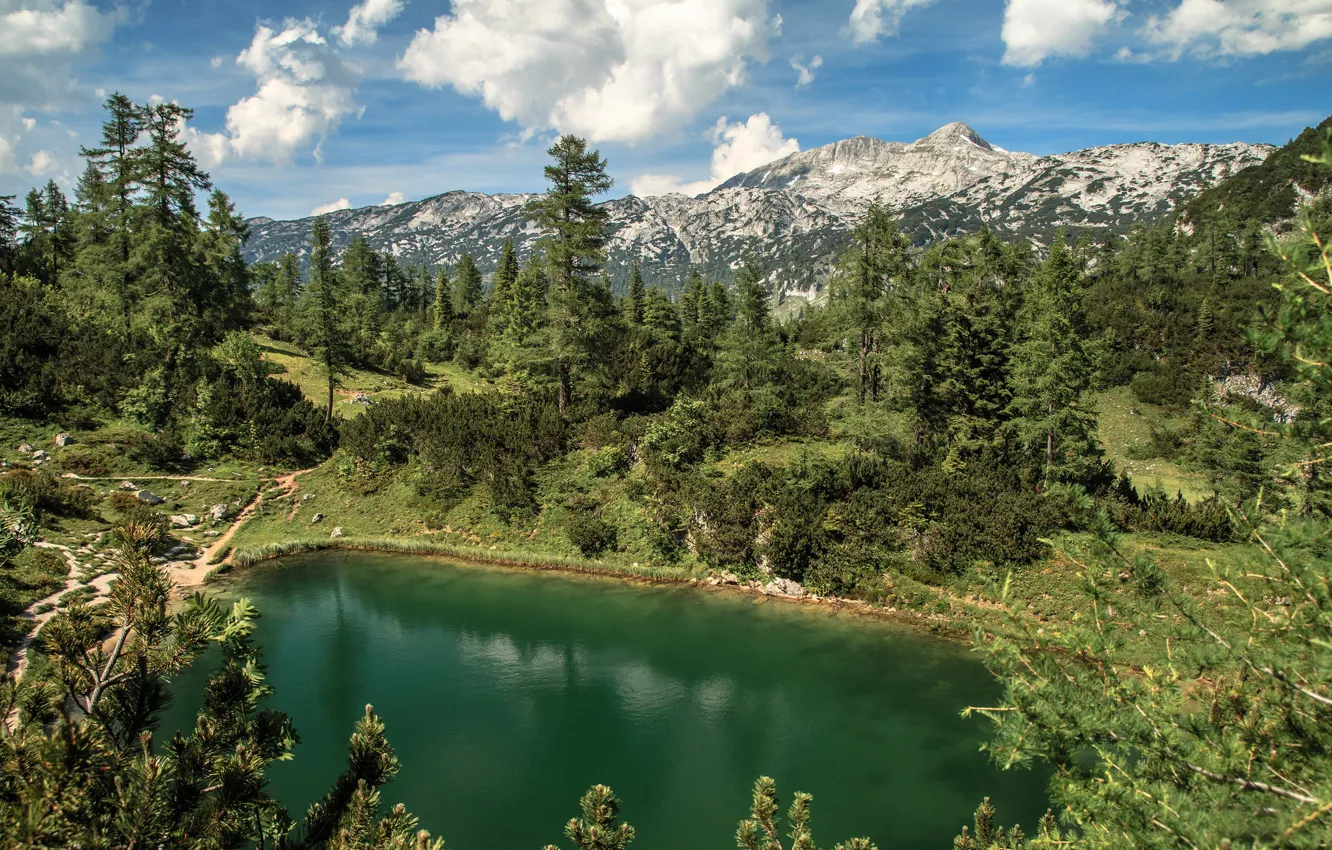 Фото обои лес, горы, озеро, Австрия, Альпы, Austria, Alps, Штирия, Styria, Tauplitzalm, Долина Тауплицальм