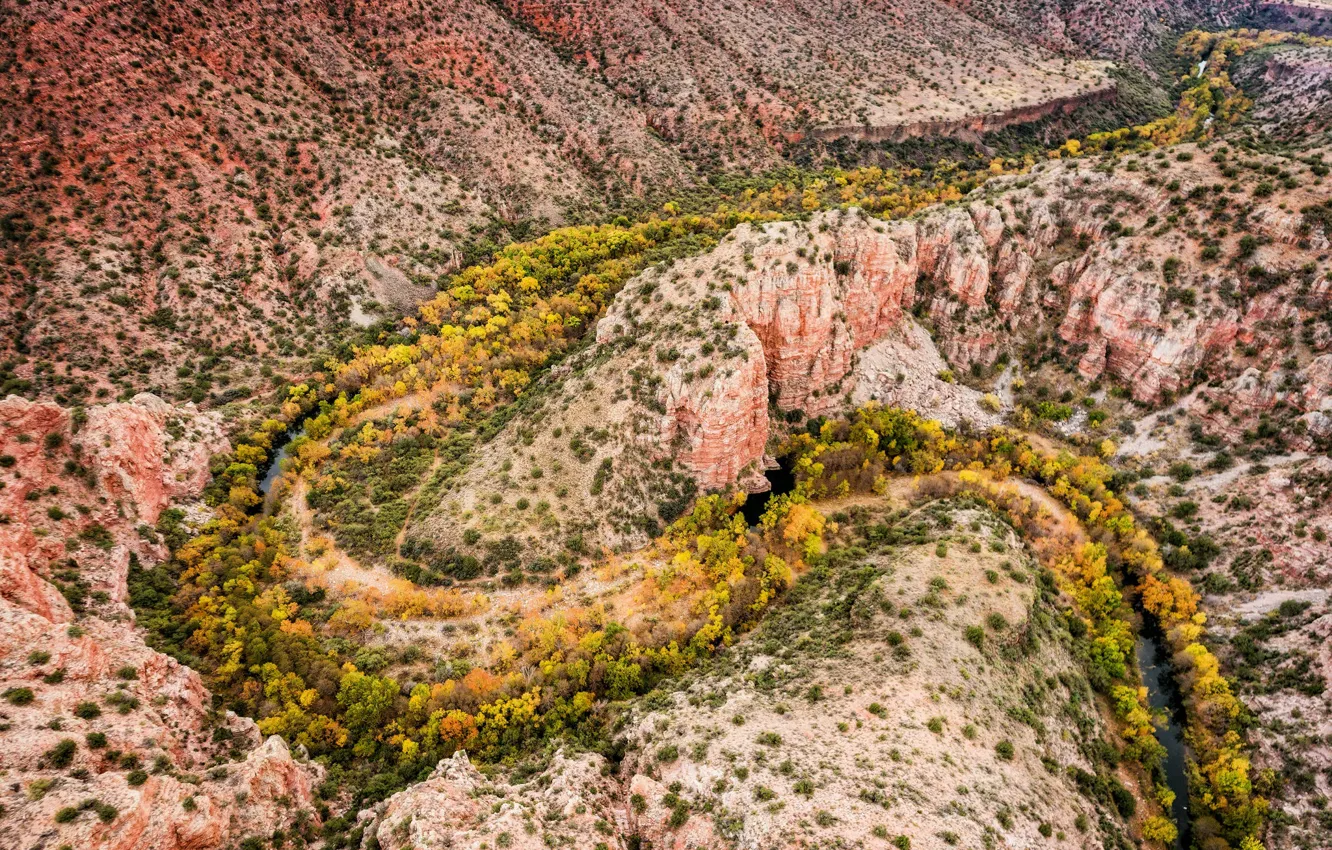Фото обои Arizona, Autumn, verde valley, Sycamore Creek, sycamore canyon. 