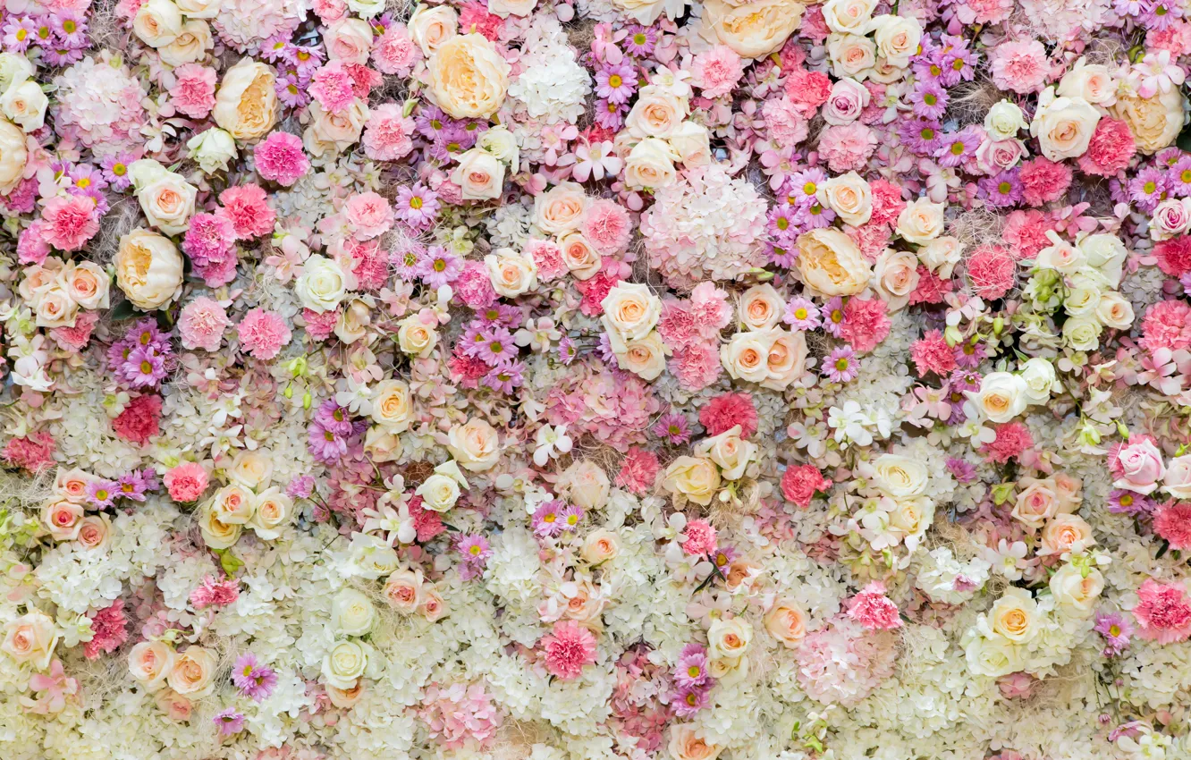Фото обои цветы, фон, розы, розовые, бутоны, pink, flowers, roses, bud