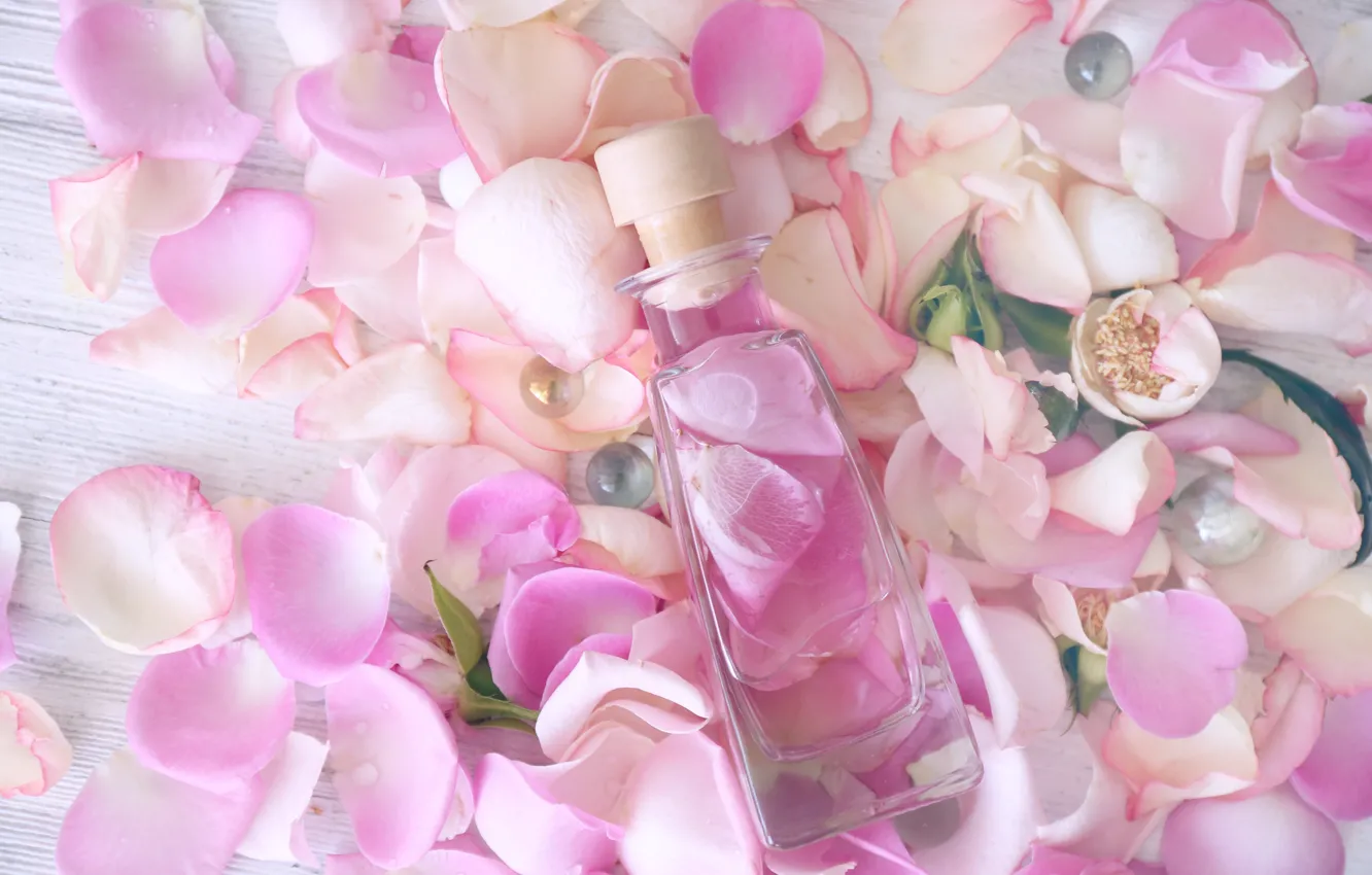 Фото обои лепестки, rose, pink, petals, розовые розы, spa, oil