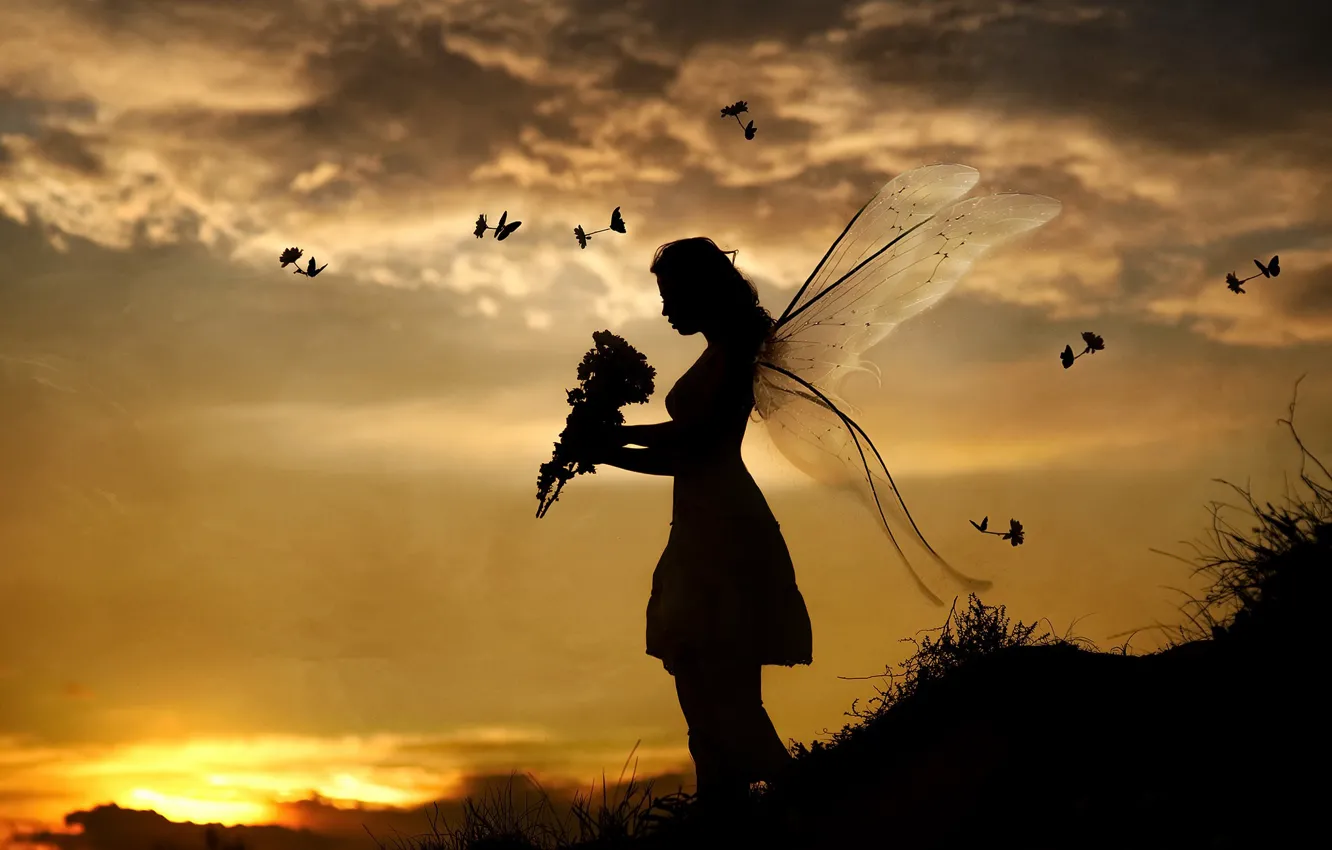 Фото обои девушка, закат, птицы, бабочка