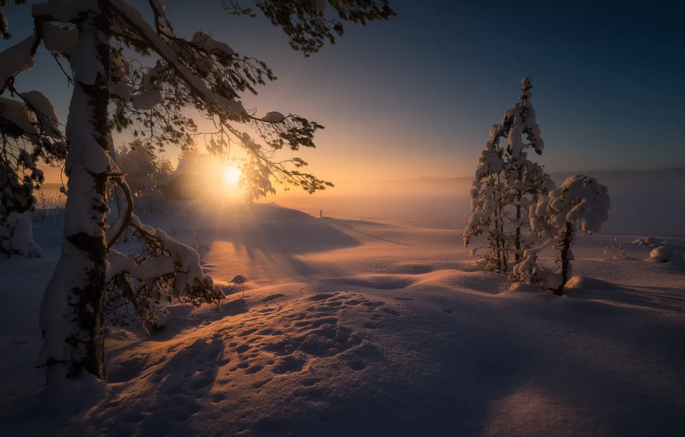 Фото обои зима, солнце, лучи, снег, деревья, пейзаж, закат, природа, дом, вечер, ели, Норвегия