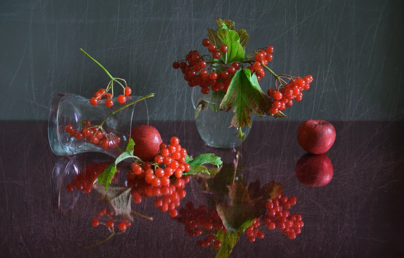 Фото обои осень, стекло, отражение, ягоды, натюрморт, композиция, калина