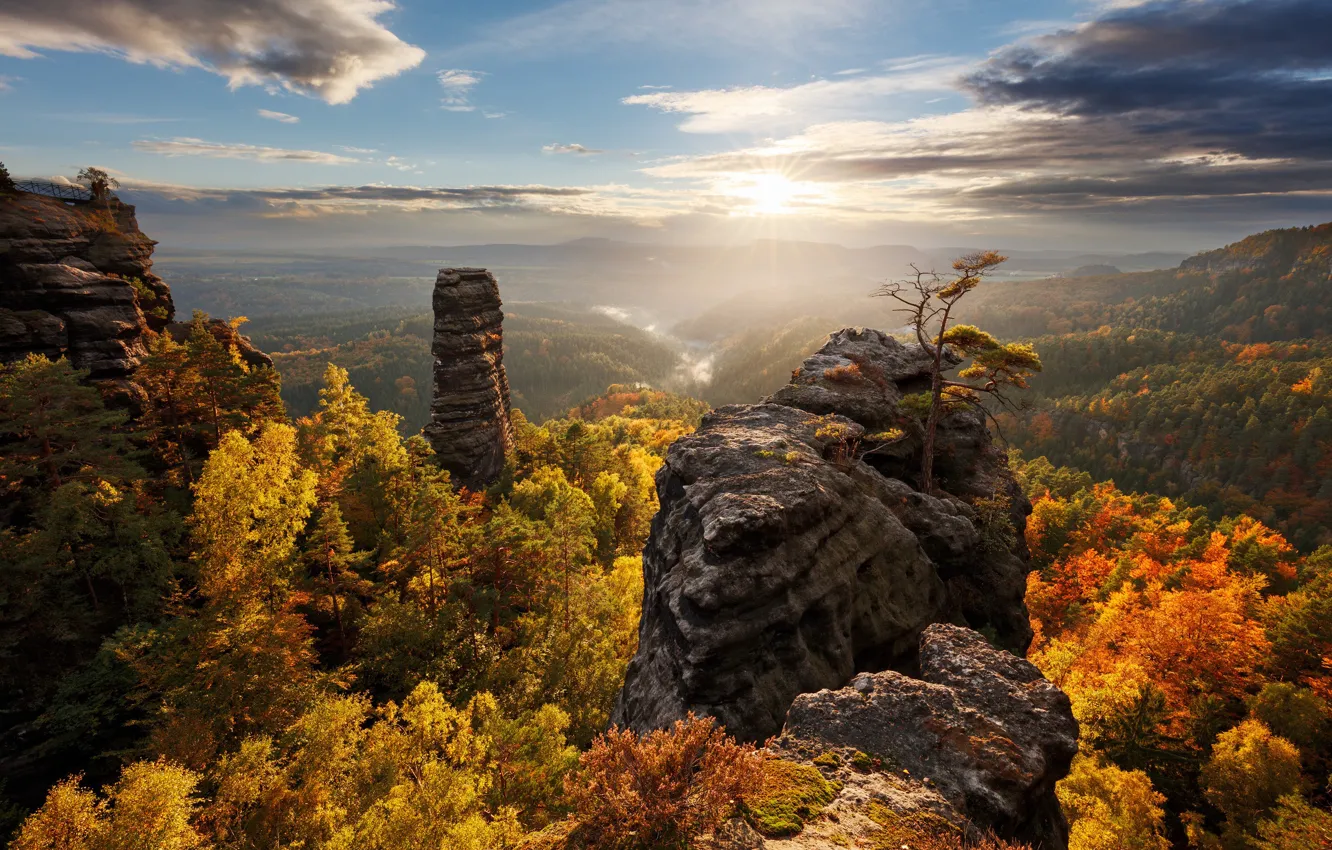 Фото обои осень, лес, солнце, свет, деревья, горы, скалы, Германия
