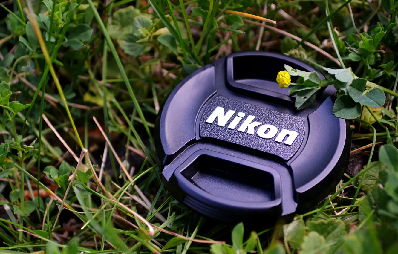 Фото обои Nikon, Grass, Macro