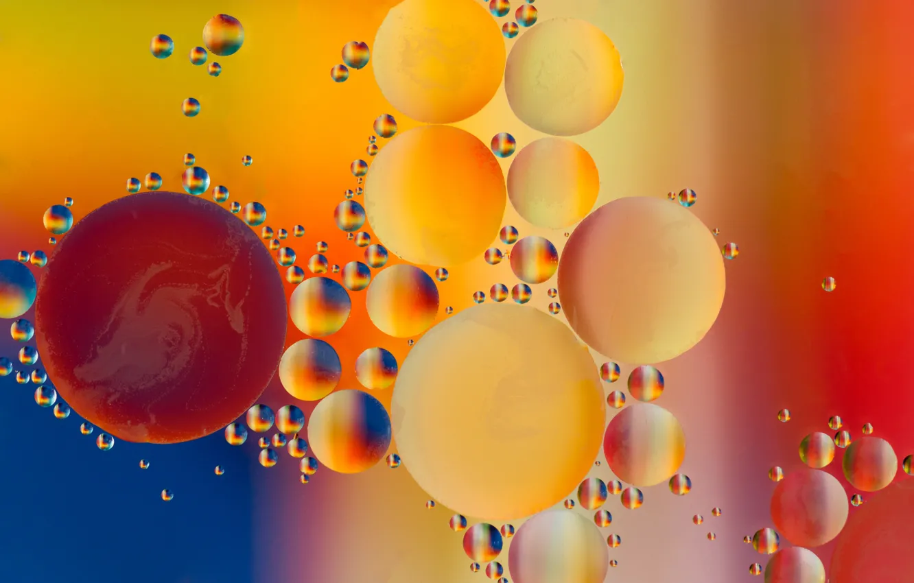 Фото обои пузырьки, масло, жидкость