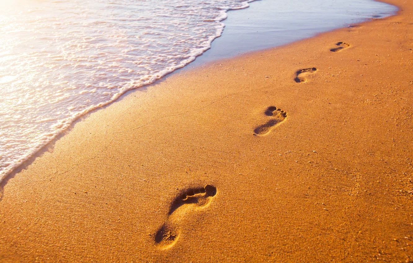 Фото обои песок, море, пляж, следы, берег, beach, sea, seascape, sand, footprints