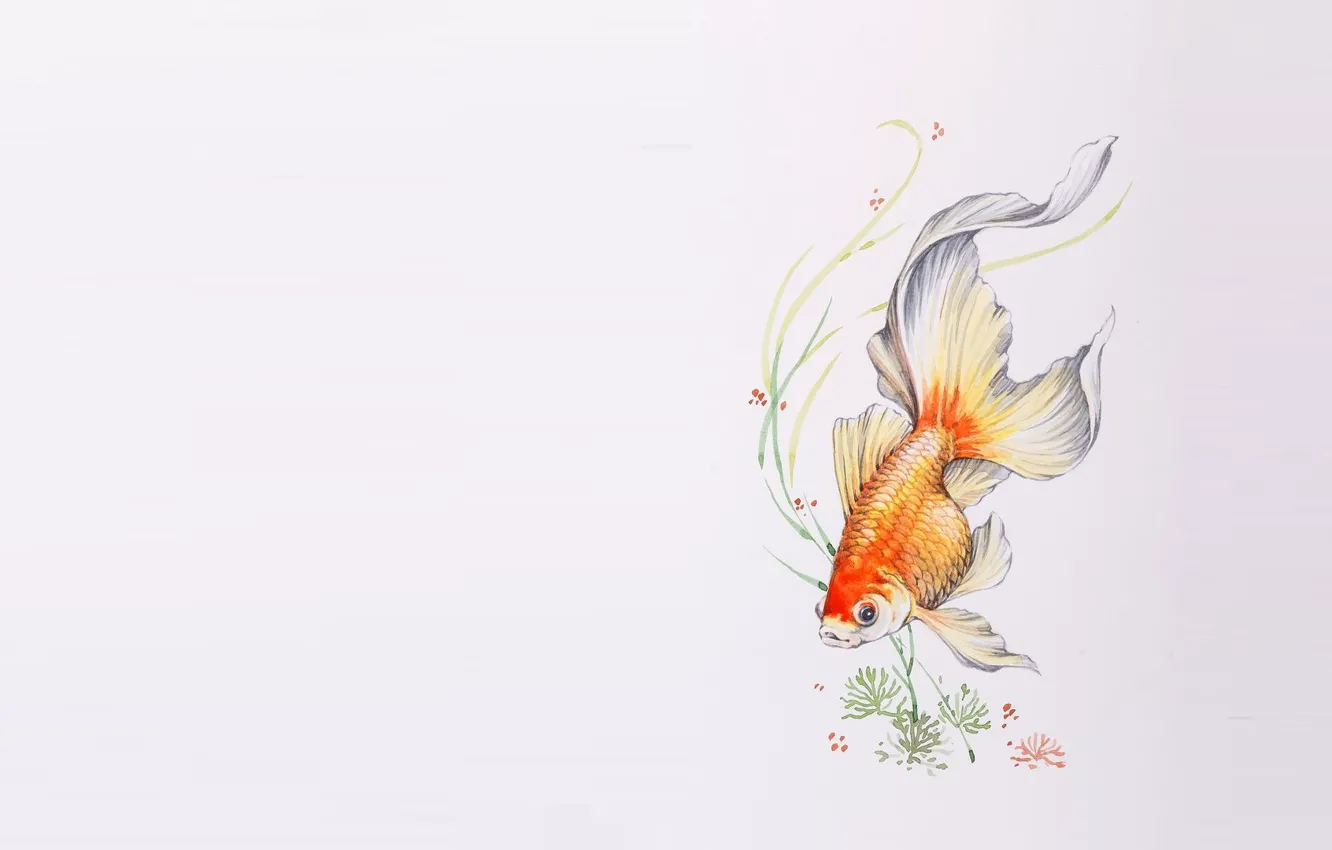 Фото обои водоросли, рисунок, рыбка, арт, золотая рыбка