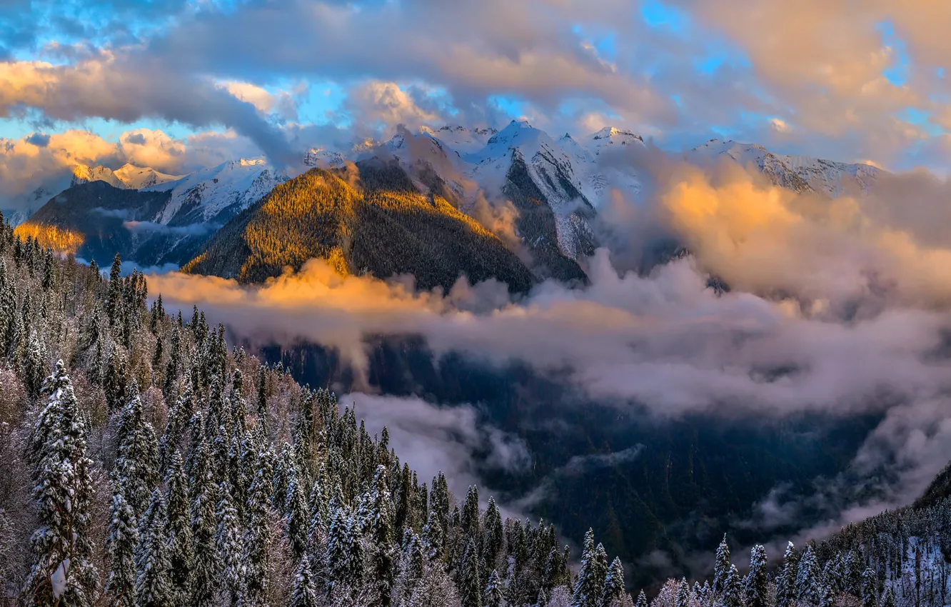 Фото обои зима, небо, облака, свет, снег, горы, леса