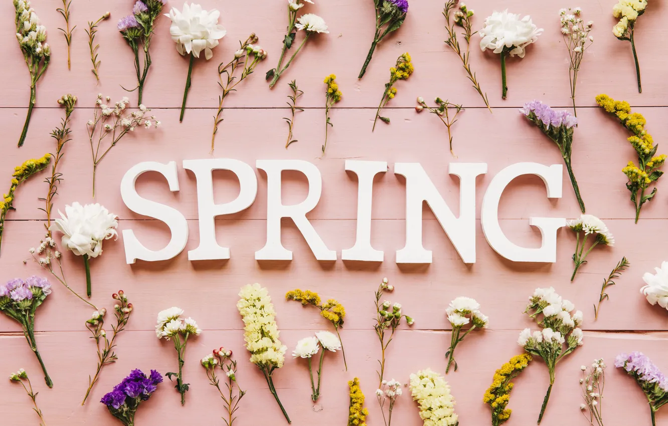 Фото обои цветы, фон, розовый, весна, pink, flowers, spring, purple. 