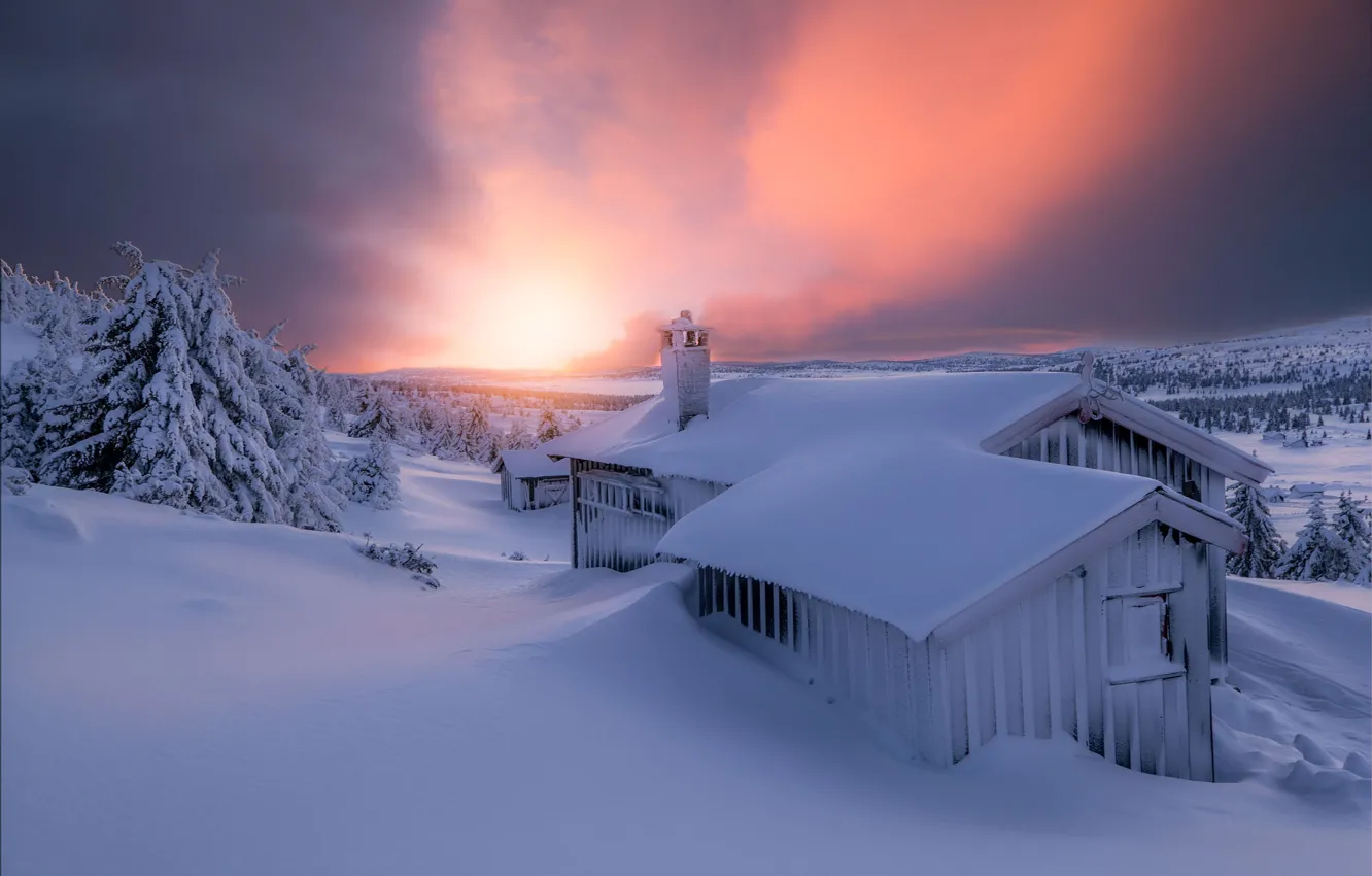 Фото обои зима, небо, свет, снег, вечер, домик