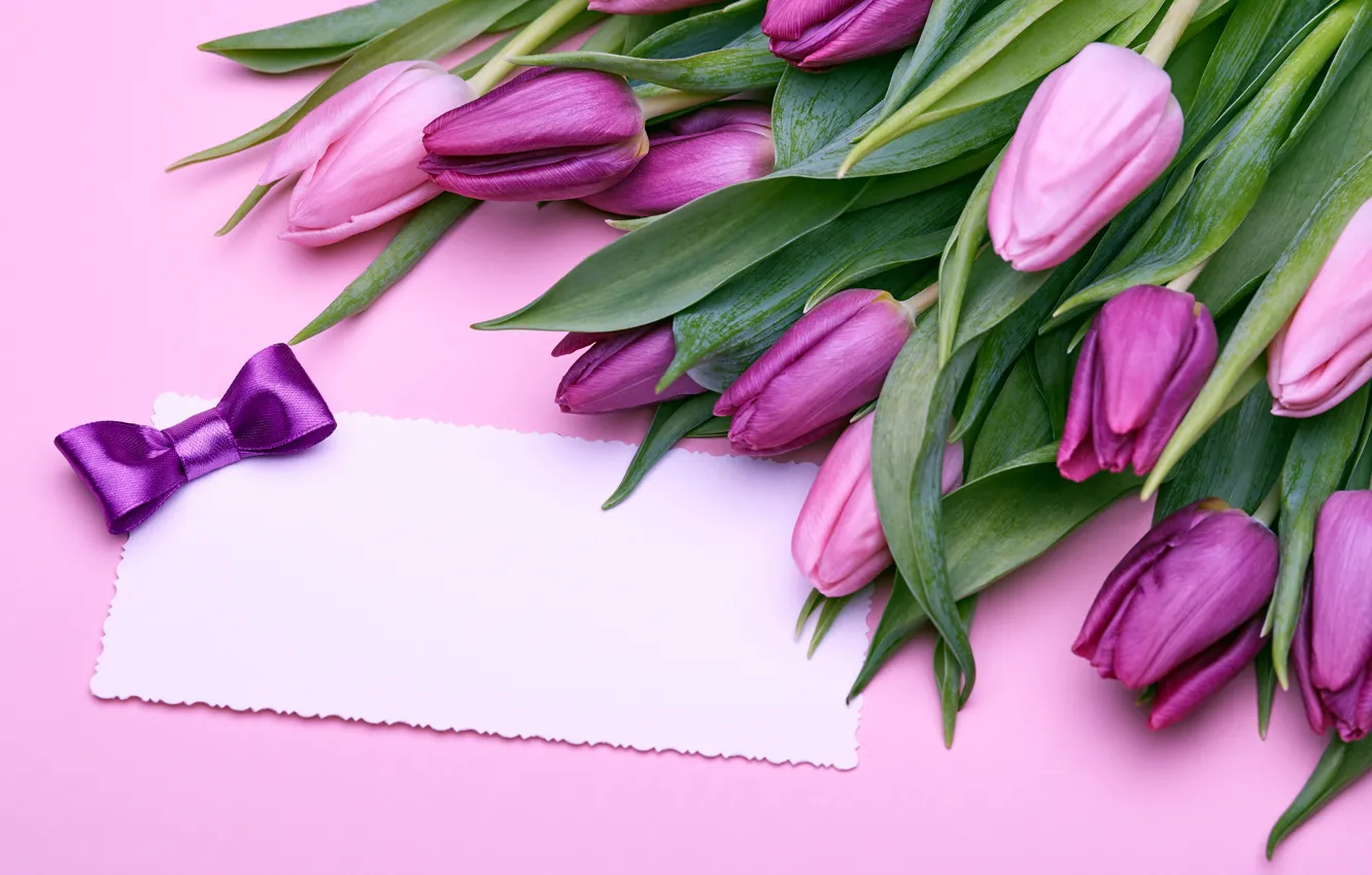 Фото обои букет, тюльпаны, love, розовые, бант, fresh, pink, flowers, romantic, tulips, gift, purple