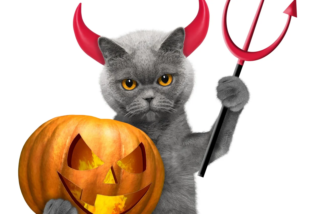 Фото обои кот, праздник, демон, Хеллоуин