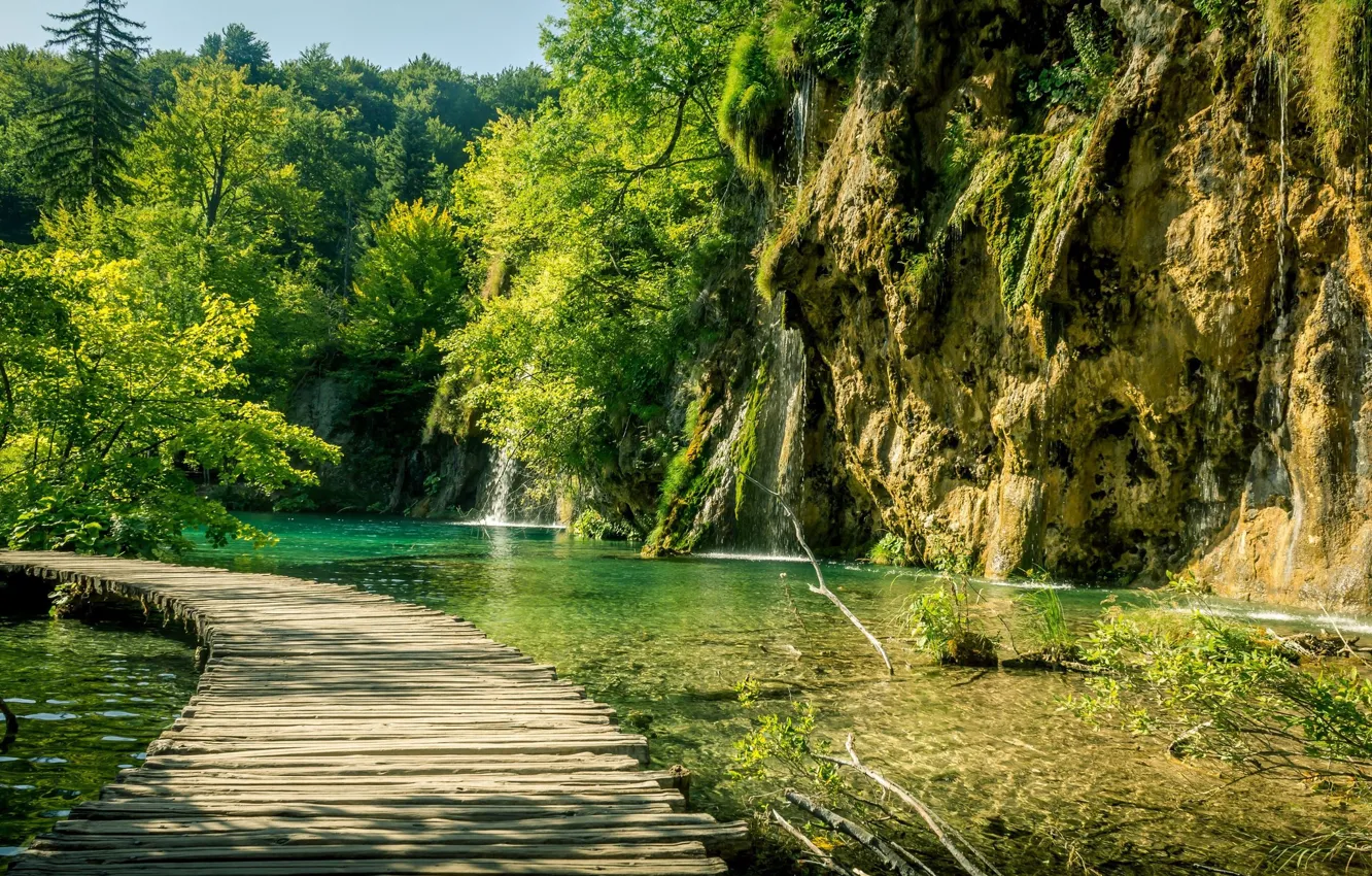 Фото обои зелень, озеро, дорожка, Хорватия, Плитвицкие озёра