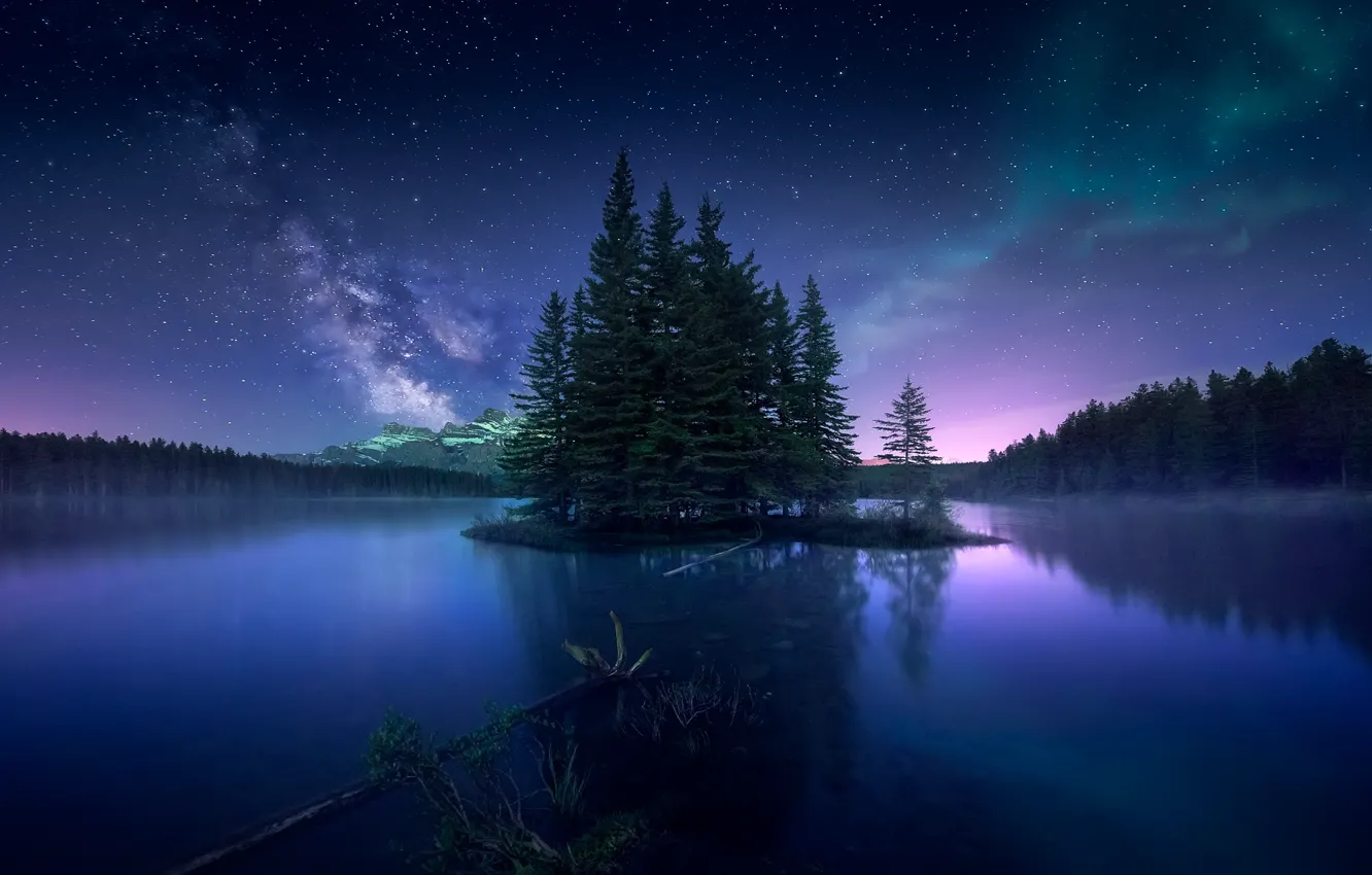 Обои лес, небо, ночь, северное сияние, Канада картинки на рабочий стол ... Канада Обои