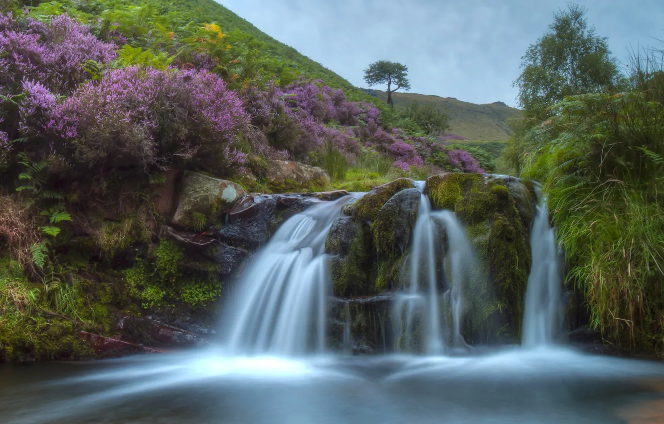 Фото обои холмы, Англия, водопад, каскад, England, вереск, Peak District, Пик-Дистрикт, Fairbrook Waterfall