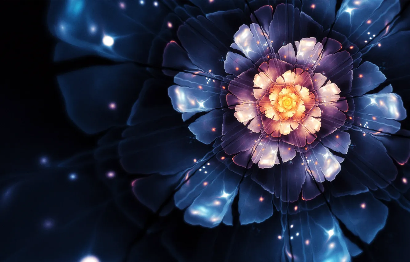 Фото обои цветок, вектор, компьютерная графика, флора, Chiara Biancheri, креативный дизайн