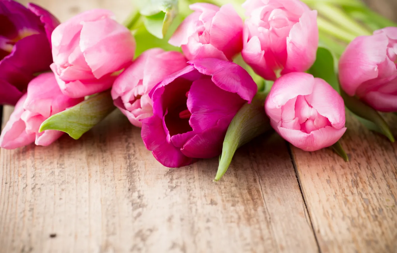 Фото обои цветы, букет, fresh, wood, pink, flowers, beautiful, tulips, розовые тюльпаны