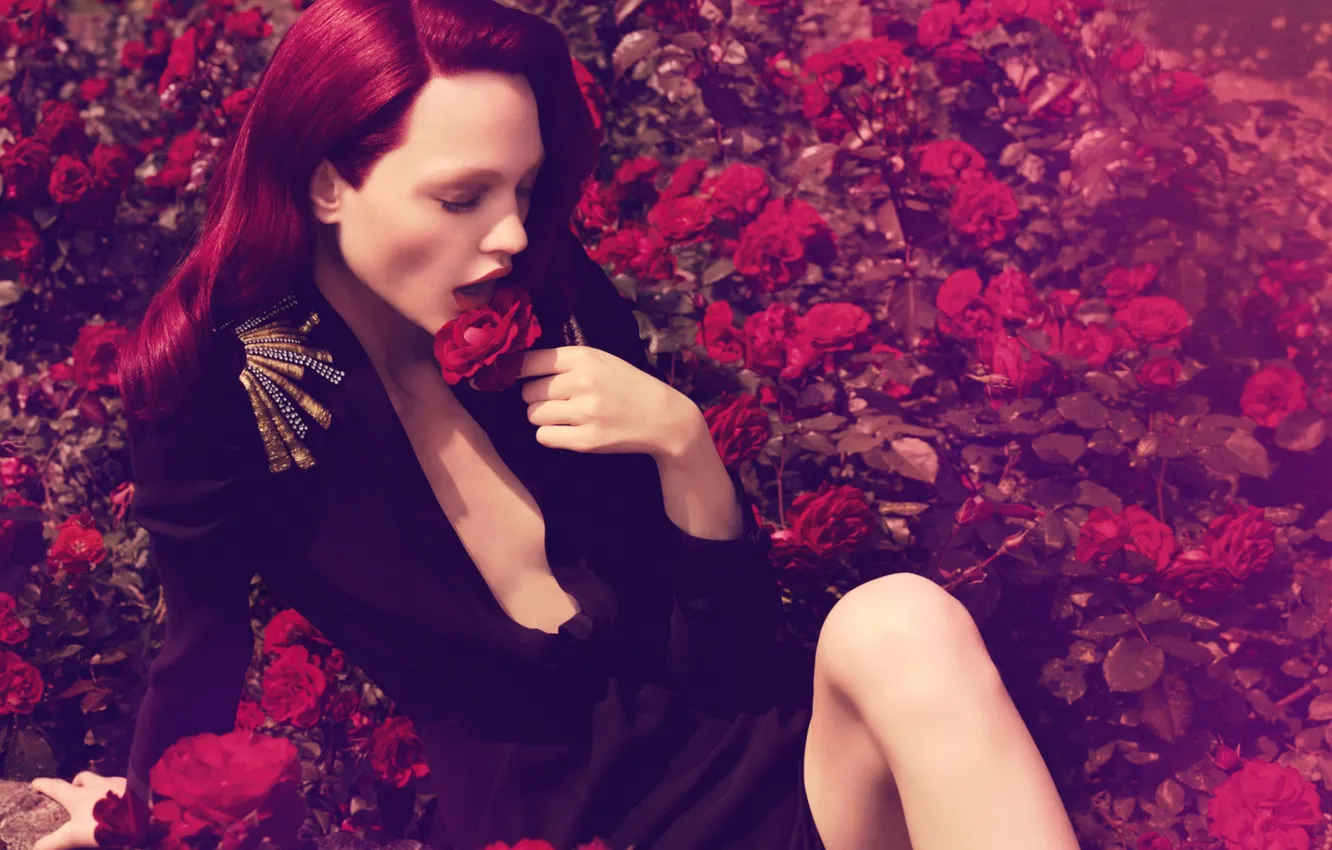 Фото обои розы, красные волосы, Саша Пивоварова, российская супермодель