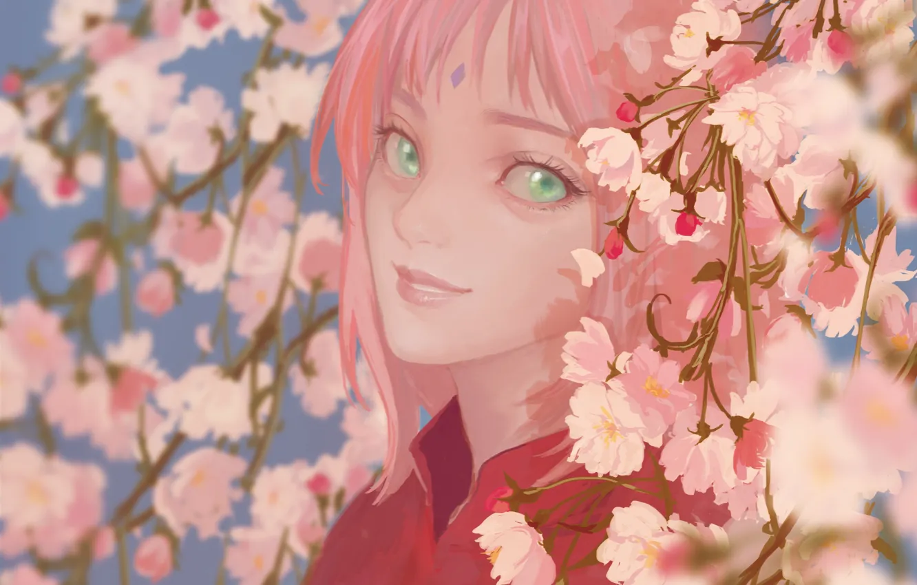 Обои девушка улыбка Naruto cherry blossom Haruno Sakura by 半. anime.goodfon...