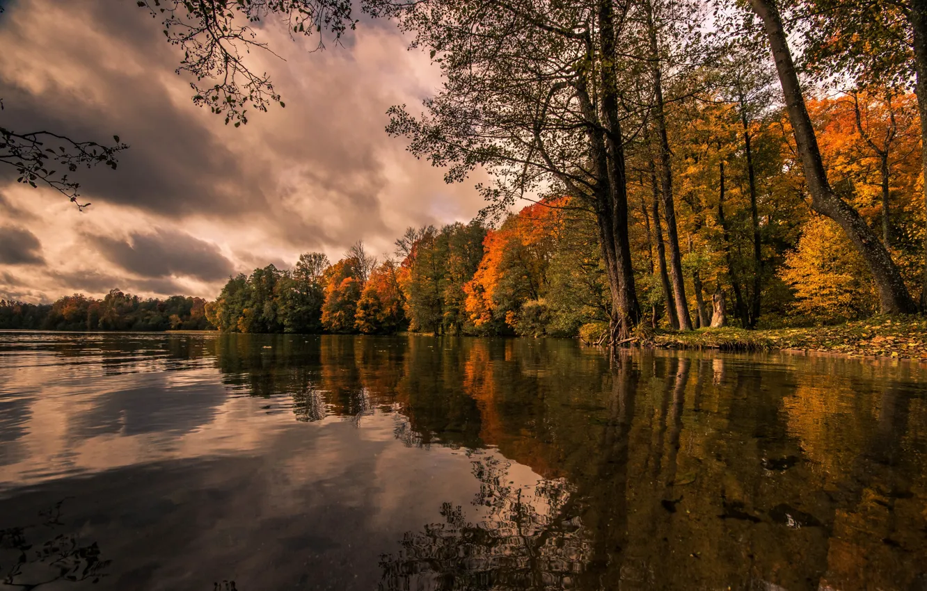 Фото обои осень, озеро, Польша, Lake Hancza