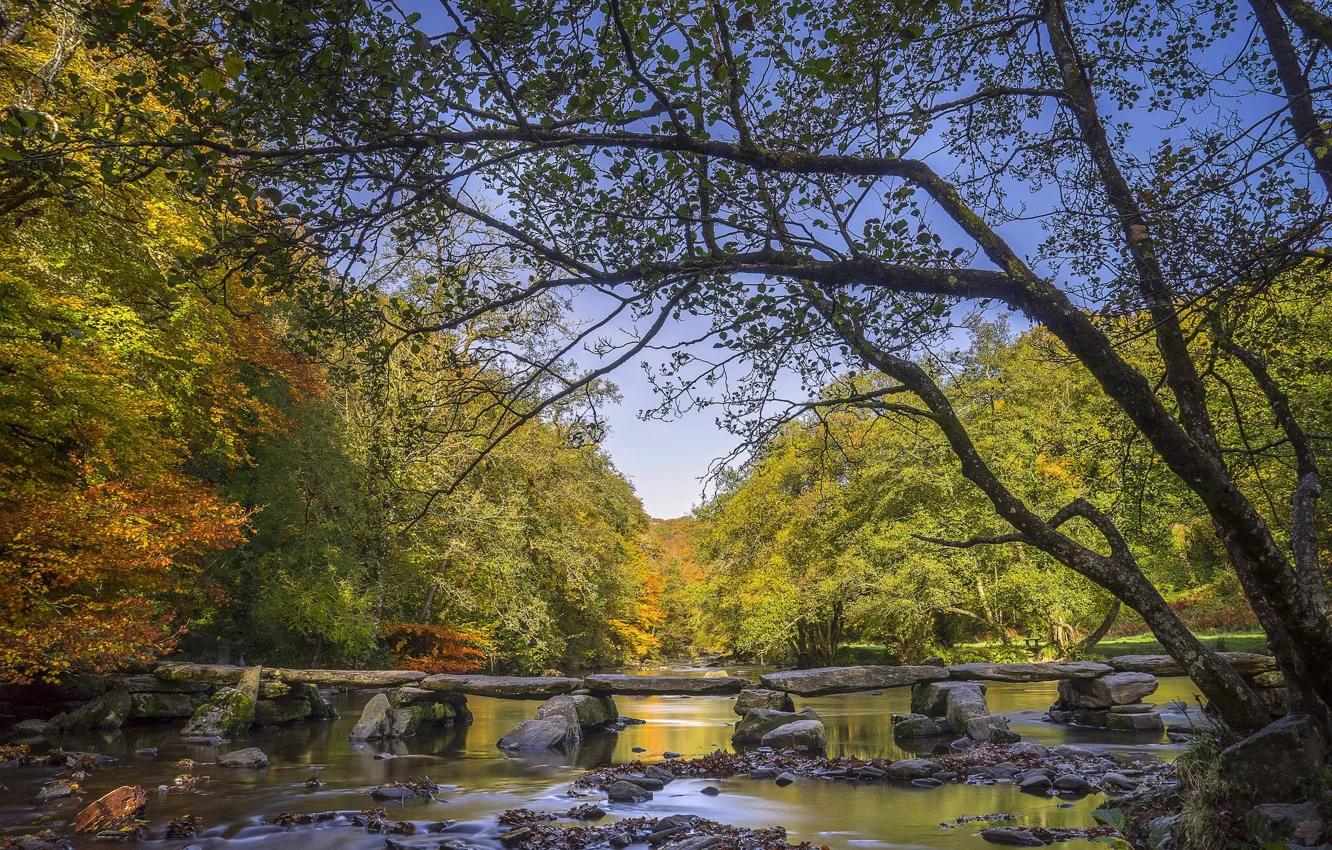 Фото обои осень, лес, деревья, река, Англия, мостки, England, Сомерсет, Somerset, Exmoor National Park, Национальный парк Эксмур, …