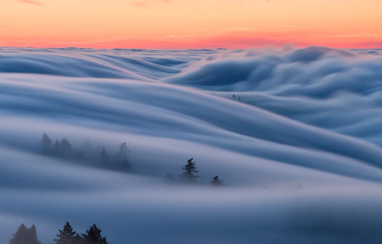 Фото обои небо, туман, утро, Калифорния