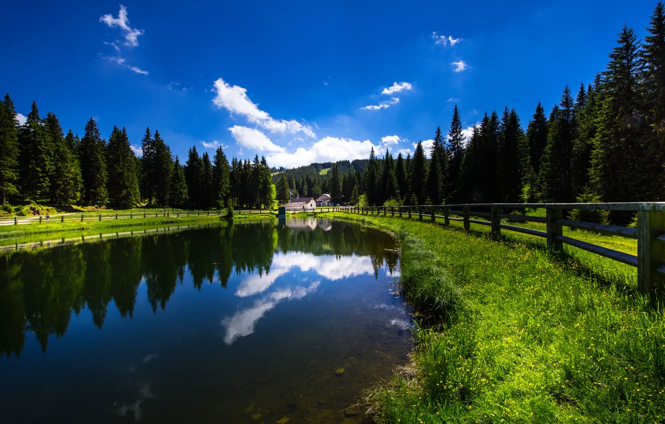 Фото обои лес, озеро, отражение, забор, Словения