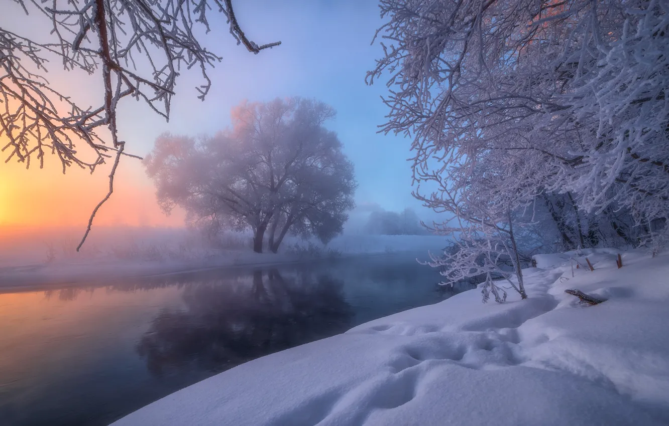 Фото обои зима, снег, деревья, река, Россия, Река Истра