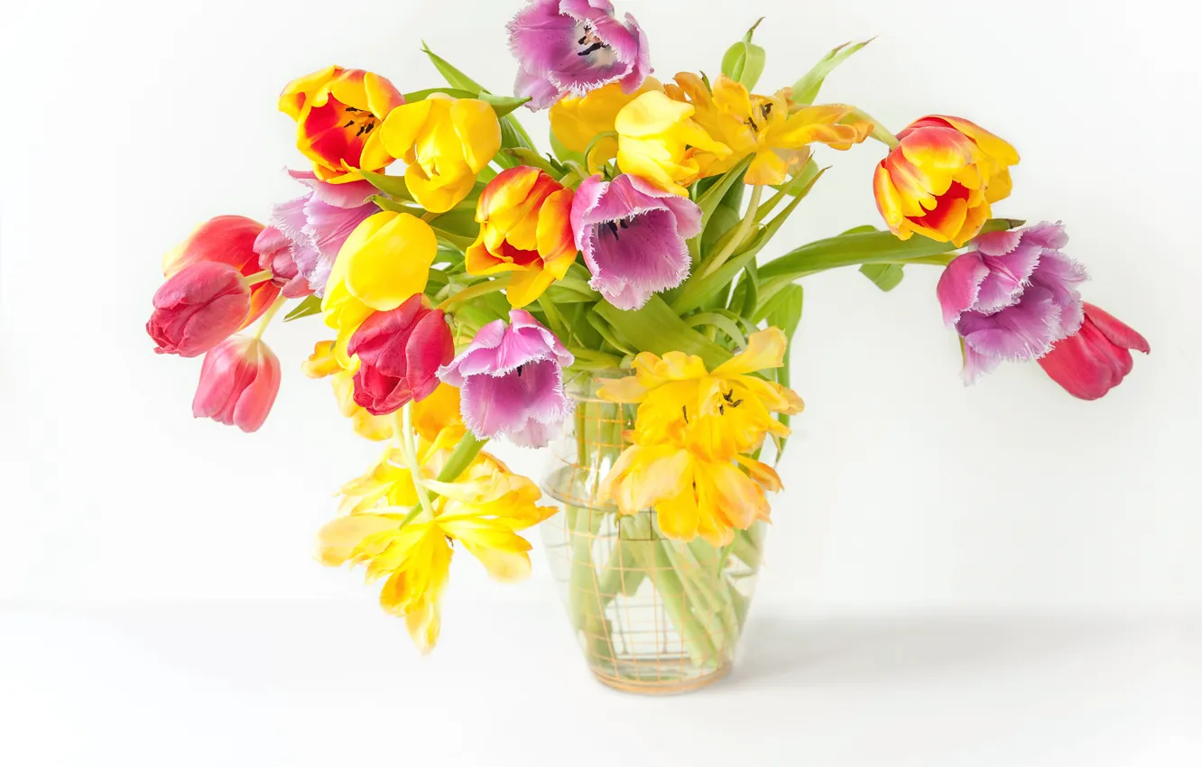 Фото обои цветы, букет, весна, colorful, тюльпаны, fresh, wood, flowers, beautiful, tulips, spring, bright