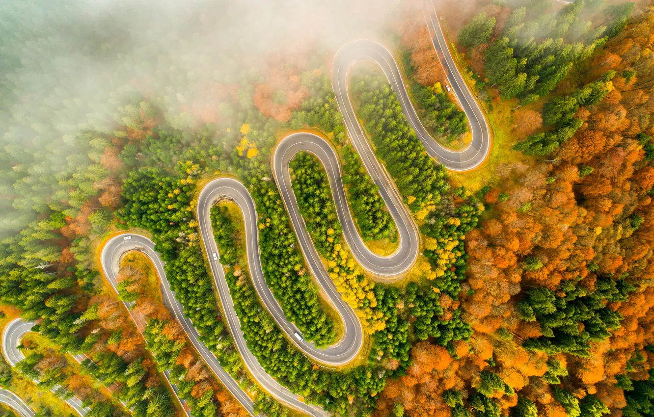 Фото обои дорога, осень, лес, деревья, машины, природа, туман, дымка