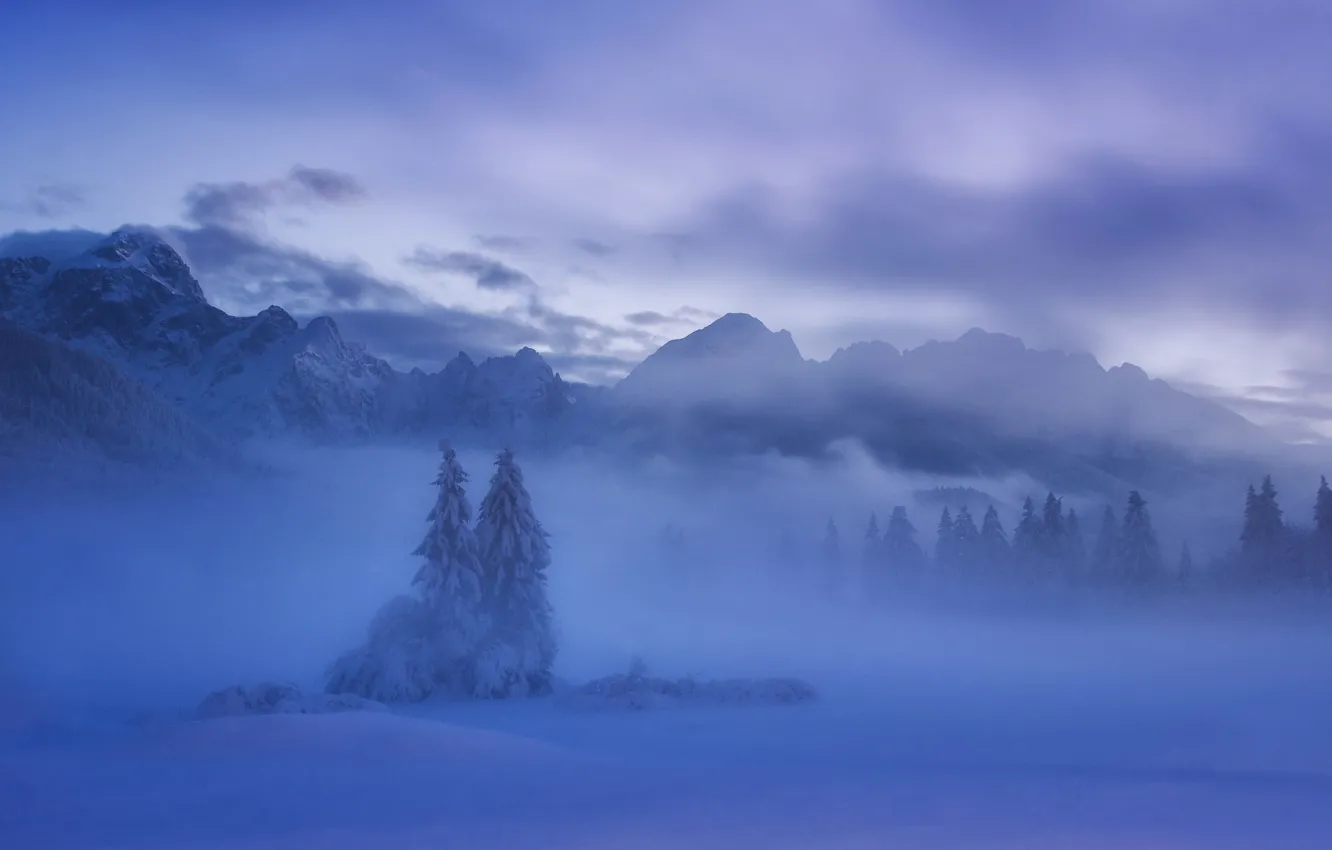Фото обои зима, снег, горы, ели, Словения, Slovenia, Юлийские Альпы, Julian Alps