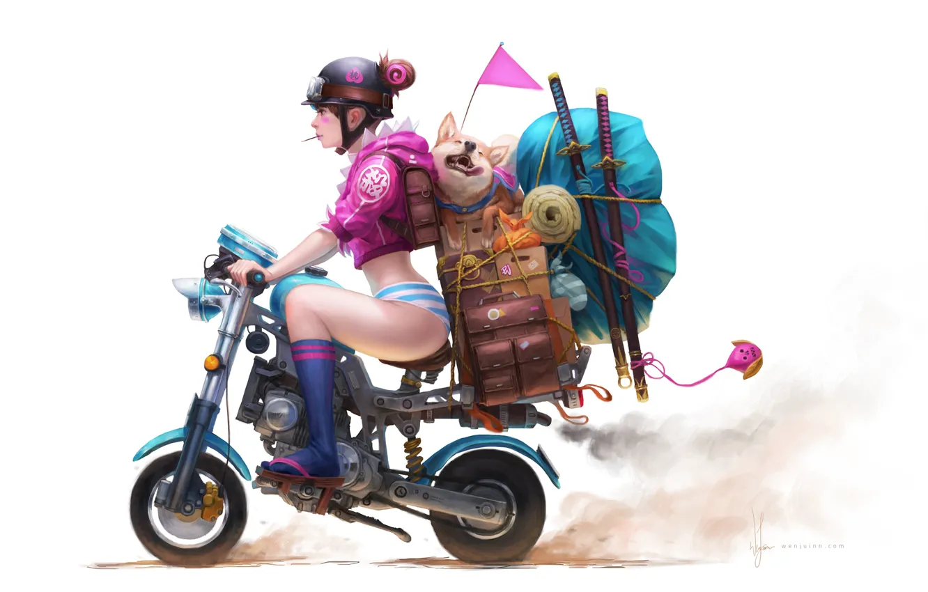 Фото обои девушка, оружие, вещи, собака, катана, аниме, арт, очки, мотоцикл, шлем, чемодан, гольфы, портфель, акита-ину, флажок, …